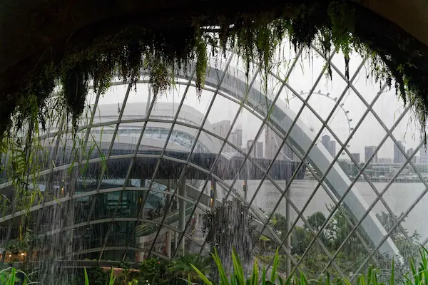 Cloud Forest (12)